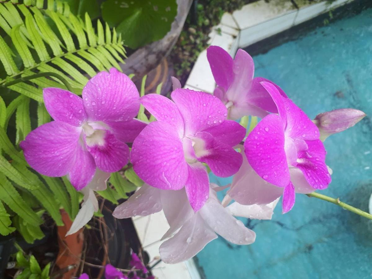 Ritzy House Hotel Chumphon Esterno foto